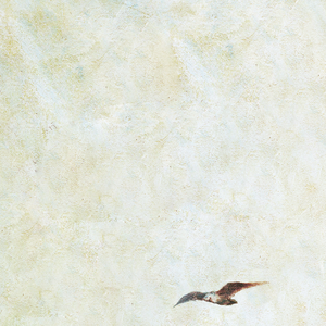 寡妇做爰XXX视频
