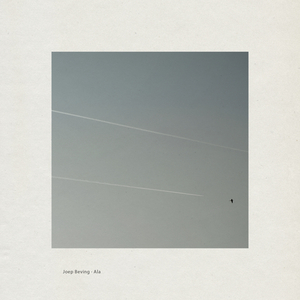 寡妇做爰XXX视频
