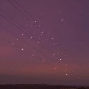 寡妇做爰XXX视频
